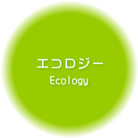 GRW[ - Ecology -